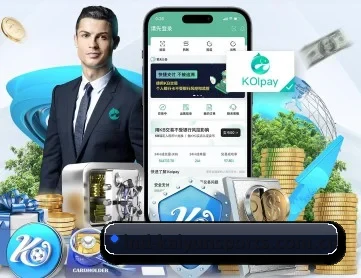 开云 APP 深度功能
